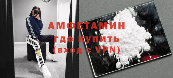 гидра Тайга