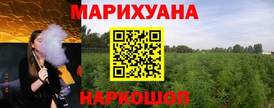 спиды Кингисепп