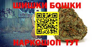 спиды Кингисепп