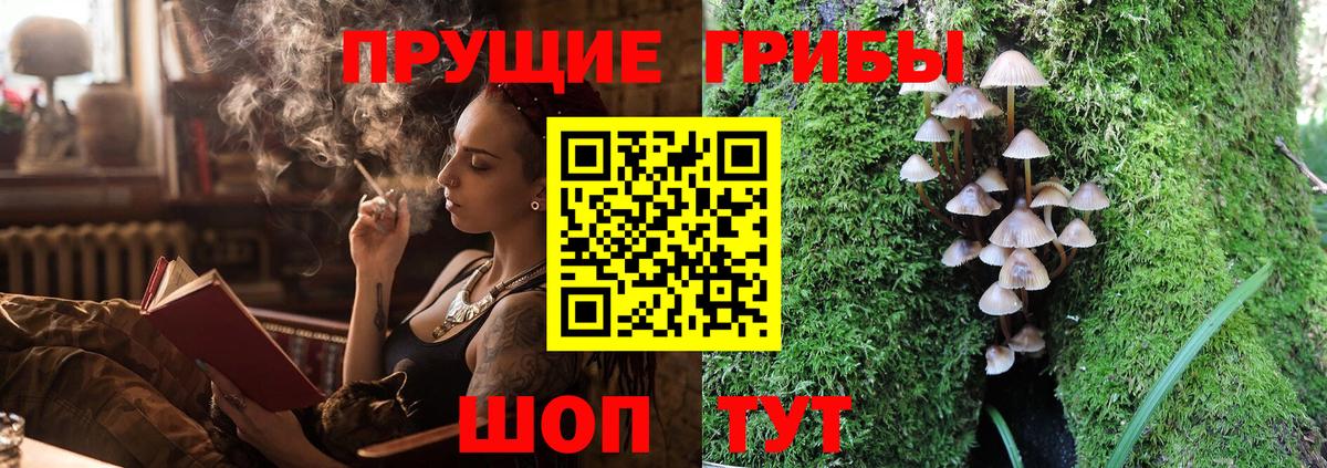 Псилоцибиновые грибы Psilocybine cubensis  где можно купить наркотик  Георгиевск  Вход с VPN  Галлюциногенные грибы MAGIC MUSHROOMS 