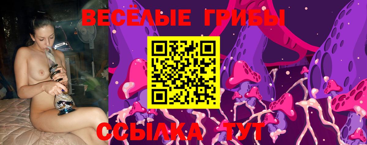 Псилоцибиновые грибы Psilocybe Георгиевск