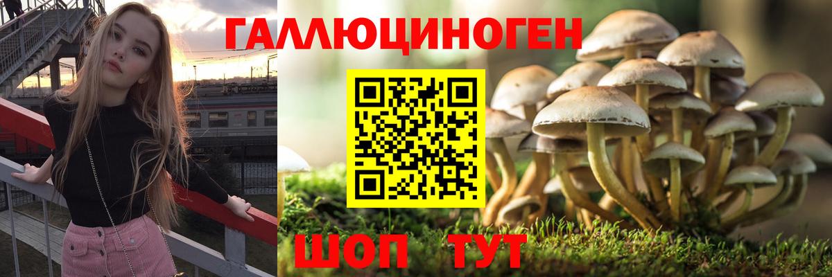 Галлюциногенные грибы Magic Shrooms Георгиевск