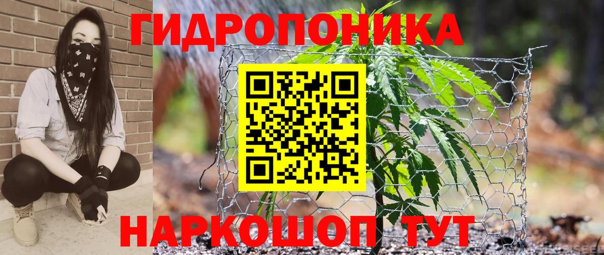 Бошки Шишки SATIVA & INDICA  Вход с VPN  Бошки Шишки тримм  Георгиевск 